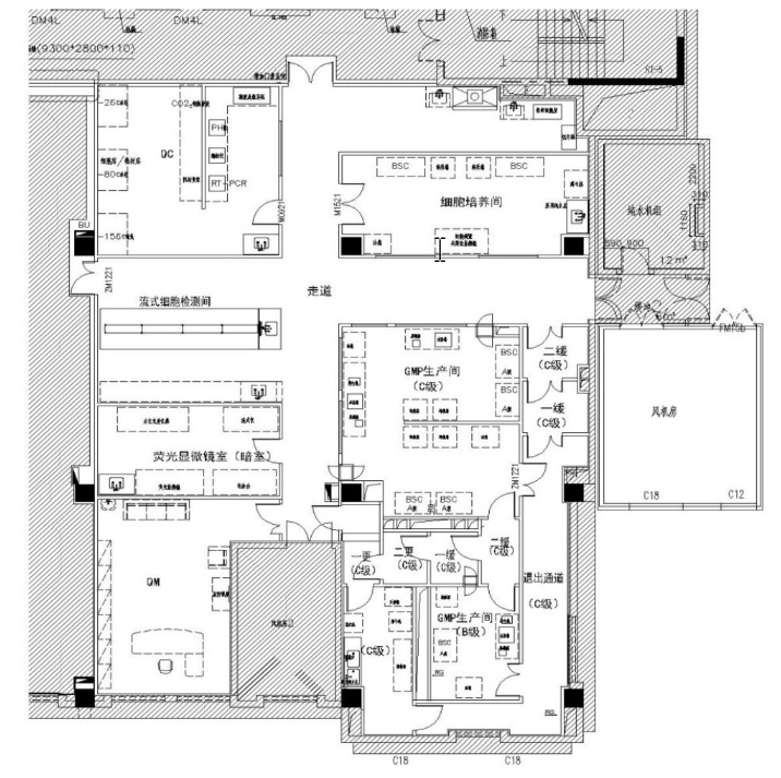 干细胞实验室平面布局图