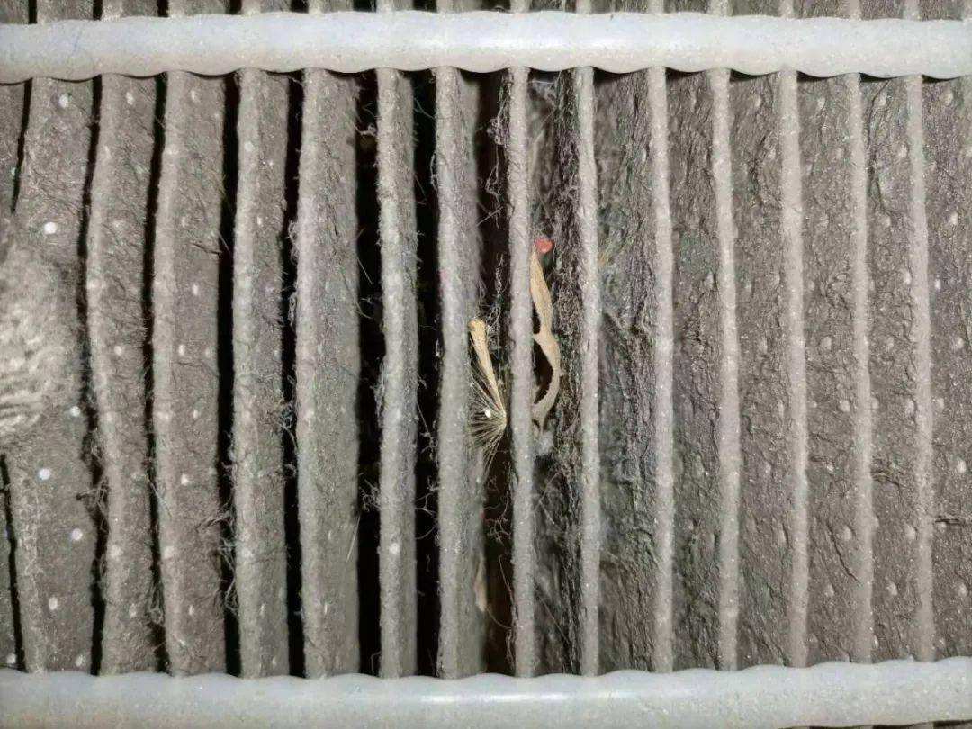 发霉的空气过滤器
